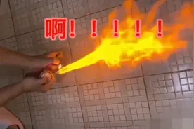 2.1亿关注？这个灭蟑螂“神器”亮了图片