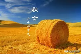 二十四节气 | 今日秋分——燕将明日去，秋向此时分图片