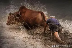2021年是辛丑无春年，“寡年遇牛，累断牛筋”，啥意思？图片