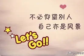 稳定的工作，就像一棵常青树图片