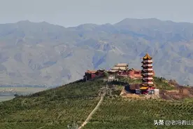 山西大同云州大观，何止黄花香图片
