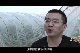 婚期，再往后推推吧图片