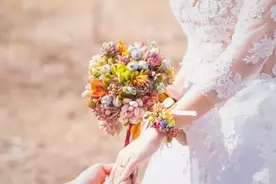 90后夫妻亲手打造7000㎡多肉花园，她说辞去高薪是值得的！图片
