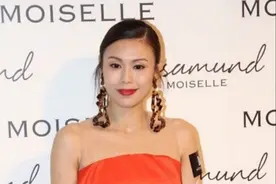 何嘉莉复出帮补生计，丈夫遭减薪影响生活，退圈15年好日子到头图片