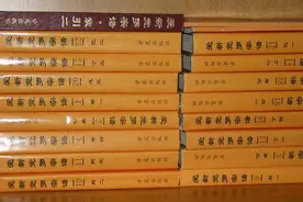 《甄嬛传》外的真实果亲王图片