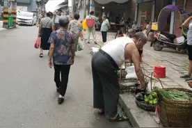 重庆市合川区太和镇图片