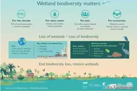 绿讯：《生物多样性公约》审查新执行计划和能力建设行动计划草案图片