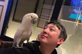 个个身价过亿，盘点一下富二代都在做什么工作？图片