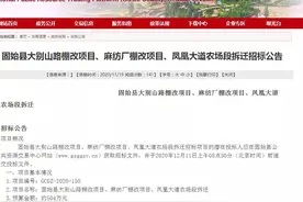 正式开始招标！固始这几个地方要拆迁了图片