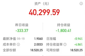 4万块买基金亏了1800元，如何买才能少亏钱？图片