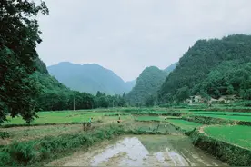 在汉中这条河上划竹筏，望远处青山，好似到了桂林阳朔图片