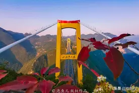 全球最恐怖的桥，用16129根钢丝吊在半空，老司机也喊腿发软图片