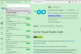 VsCode Go插件配置最佳实践指南图片