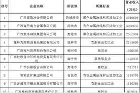 2021广西民营企业100强榜单发布！快看有没有你们的公司图片
