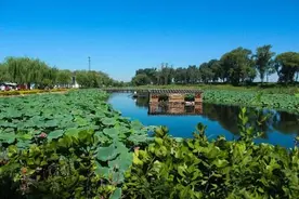 国家5A级景区（十一），河北白洋淀景区图片