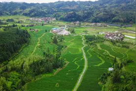 广东省首个！韶关乳源“茶旅小镇”开圩图片