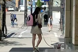 54岁王祖贤遛猫遛狗，与人搭讪很健谈，脸部下垂身材也严重走样图片