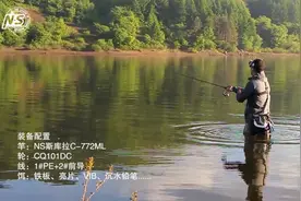 NS斯库拉初春探钓——用装备模式去对接窗口期的疯狂翘嘴图片