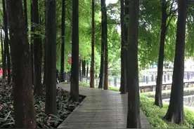 漫步广州空中云道图片