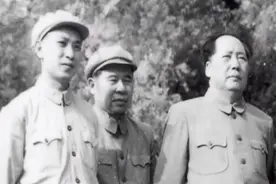 毛主席写下一首七律，随手丢进废纸篓，被人捡回来后成为传世经典图片