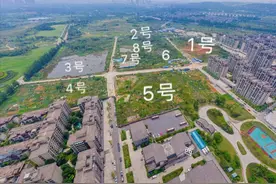新都区石板滩街道狮子湖幼儿园、中小学来啦！将在本次土拍配套图片