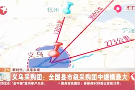规模最大！义乌采购团与捷克展开深度合作，出口同比经济增长500%视频封面