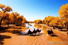 从上海出发老年旅游专列有哪几趟？图片