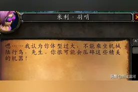 魔兽世界怀旧服，暗夜战士捐步到铁炉堡崇拜，然后悲剧了图片
