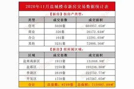 11月盐城住宅成交排行榜揭晓图片