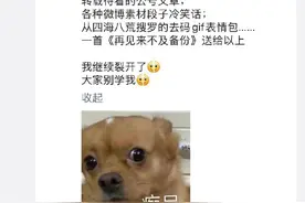 微信抖动出bug 网友慌乱中自救：5.6GB聊天纪录没了图片