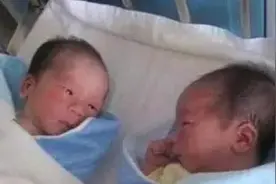 龙凤胎兄妹出生后一直亲，护理人员都没办法分开，画面太暖心了图片