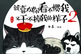 就喜欢你看不惯我又干不掉我的样子，铲屎官白茶靠萌宠吸粉百万图片