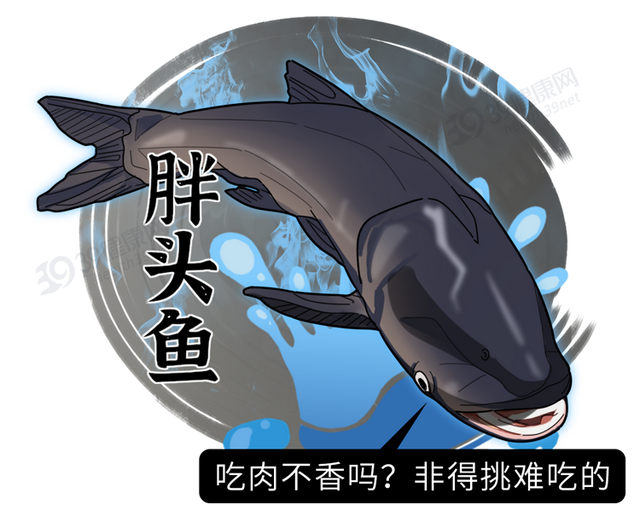 鱼肉含胶原蛋白 2026年鱼肉胶原蛋白含量
