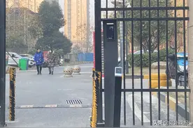 你的脸在“裸奔”吗？图片