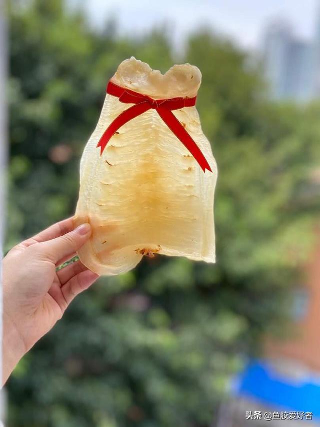 孕妇吃鱼鳔的最佳时间 2026年孕妇吃鳘鱼鳔的最佳时间