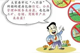 农村乱占耕地建房“八不准” 系列漫画作品图片