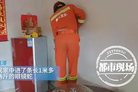 吓人！鹰潭一居民家中惊现眼镜蛇，还在“嘶嘶”吐信子图片
