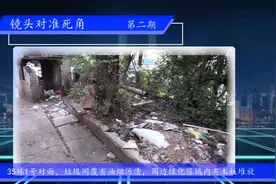 【全国文明城市整改攻坚曝光台】第二期图片