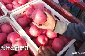 对于今年的苹果趋势，​我想说几句图片