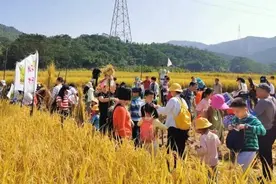 乡村振兴看博罗② | 惠州坪山村：越野车跑出“富民兴村”加速度图片