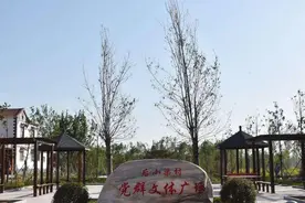 美丽新乡：长垣小渠村的风华图片