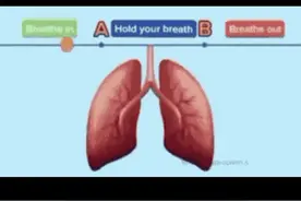 30秒内完成憋气测验，就能证明是健康的肺？医生：别轻信图片