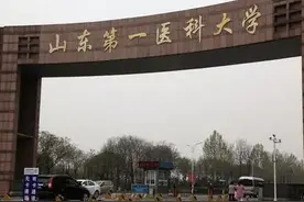 山东第一医科大学其实成功了，至少鲶鱼的目的已经达到了图片