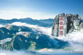 泰山真的有老虎，历史上就有图片
