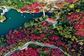 济南体验式拓展培训地址，济南军事拓展基地图片