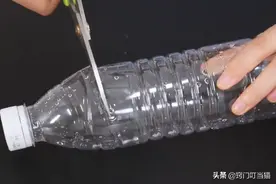 今天才知道，灭蟑螂只用一个塑料瓶，不花一分钱，家里蟑螂灭光光图片