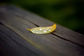 散文：心静自然凉图片
