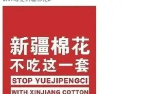 淘宝下架H&M，网友：但凡你用新疆棉花，质量也不至于差成这样图片