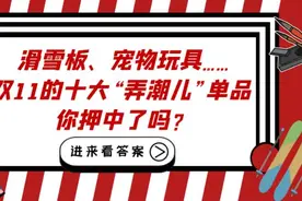 滑雪板、宠物玩具……双11的十大“弄潮儿”单品 你押中了吗？图片