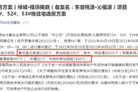 资料核验通过率不足30%！火爆楼市下这个“操作”你服不服？图片